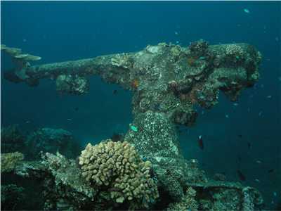 The bow gun of the Hino Maru No 2
